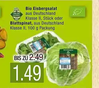 Marktkauf Bio Eisbergsalat Oder Blattspinat Angebot