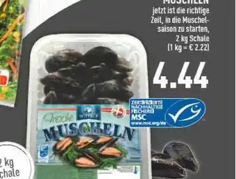 Marktkauf Muscheln Angebot