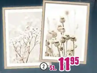 Hornbach Gerahmtes Bild ,,Dried Fiber in the wind III" Angebot