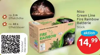 Budni Nico Green Line Fire Rainbow Batterie Angebot