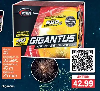 Famila Nord West COMET Gigantus Angebot