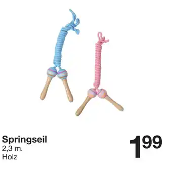 Zeeman Springseil Angebot