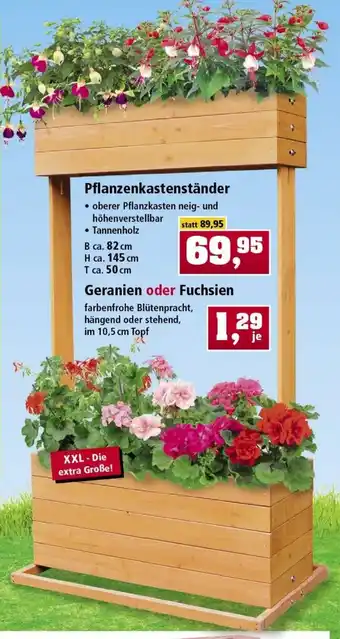 Thomas Philipps Pflanzenkastenständer oder Geranien oder Fuchsien Angebot