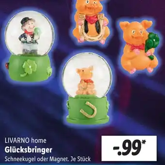 Lidl LIVARNO home Glücksbringer Angebot