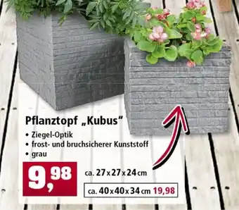 Thomas Philipps Pflanztopf ,,Kubus" Angebot