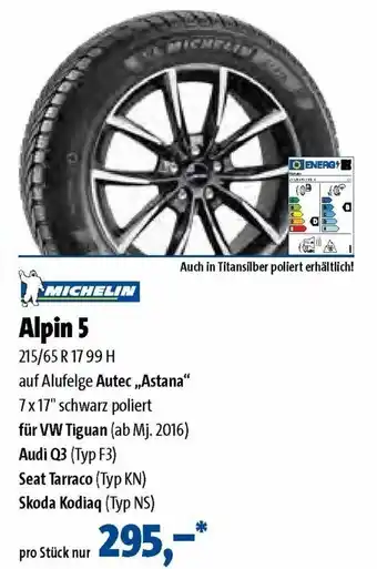 Point S Michelin Alpin 5 Angebot