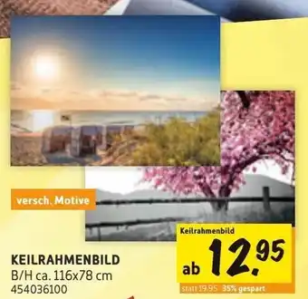 SCONTO Keilrahmenbild Angebot