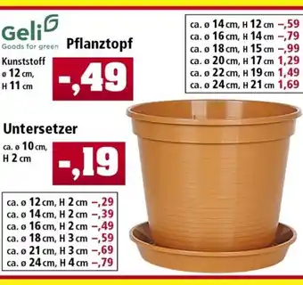 Thomas Philipps Geli Pflanztopf oder Untersetzer Angebot