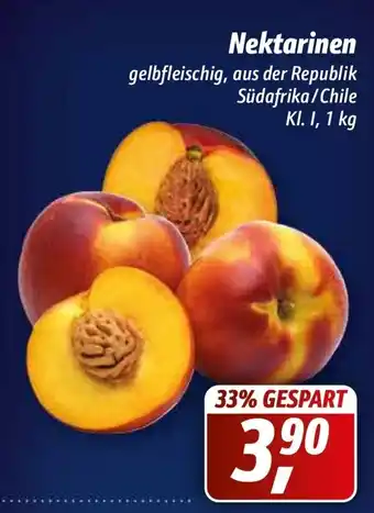 Simmel Nektarinen 1kg Angebot