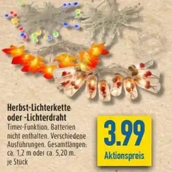 diska Herbst Lichterkette oder Lichterdraht Angebot