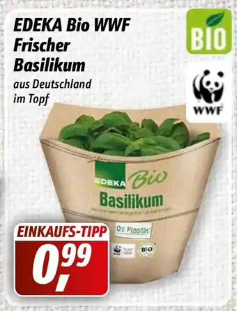 Simmel Edeka Bio WWF Frischer Basilikum Angebot