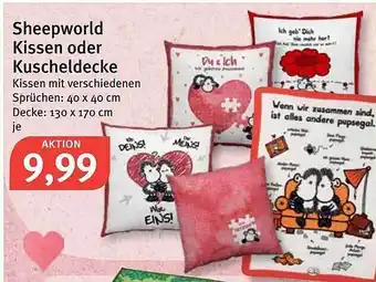 Feneberg Sheepworld Kissen Oder Kuscheldecke Angebot