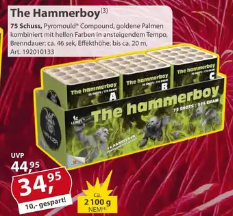 Sonderpreis Baumarkt The Hammerboy 75 Schuss Angebot