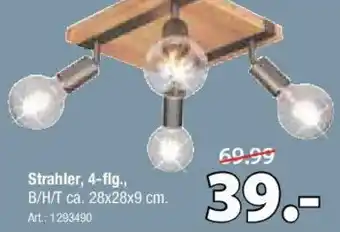 Zurbrüggen Strahler, 4-flg. Angebot