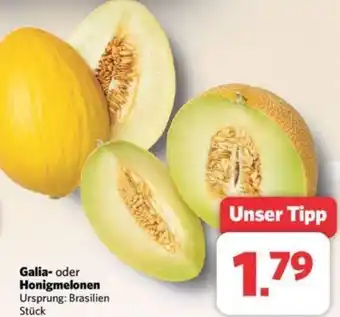 Combi Galia oder Honigmelonen Angebot