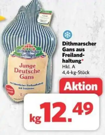 Combi Dithmarscher Gans aus Freilandhaltung 4,4 kg Stück Angebot