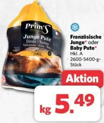 Combi Französische Junge oder Baby Pute 2600-5400 g Stück Angebot