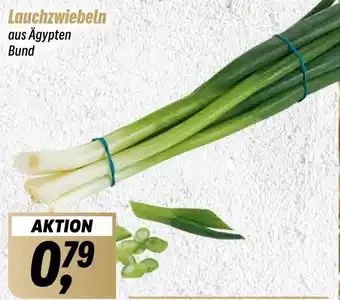 Simmel Lauchzwiebeln Angebot