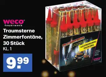 Handelshof weco Traumsterne Zimmerfontäne, 30 Stück Angebot