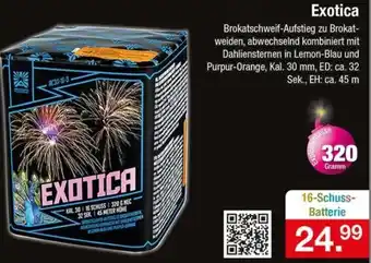 Zimmermann Exotica 16 Schuss Batterie Angebot