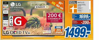 Expert Klein Lg Oled Tv Angebot