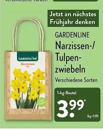 Aldi Nord Gardenline Narzissen--tulpen-zwiebeln Angebot