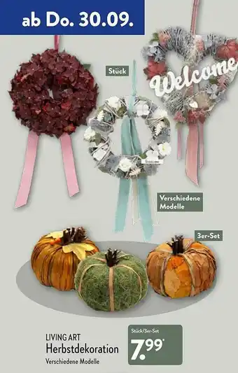 Aldi Nord Living Art Herbstdekoration Angebot