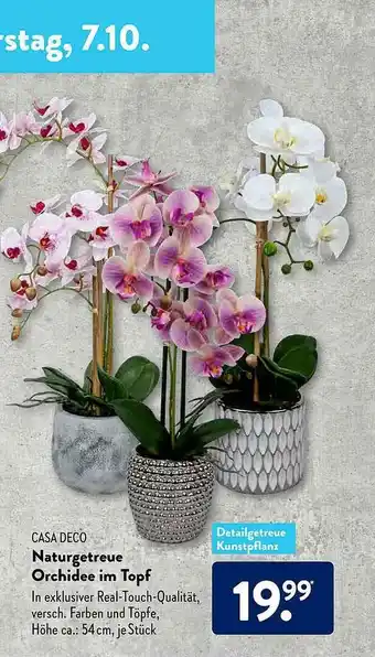 Aldi Süd Casa Deco Naturgetreue Orchidee Im Topf Angebot