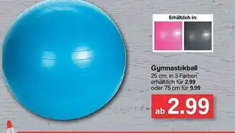 Famila Nord West Gymnastikball Angebot