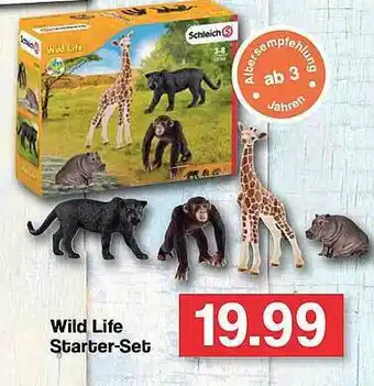 Famila Nord West Wild Life Starter-set Angebot