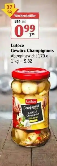 Globus Lutèce Gewürz Champignons Angebot