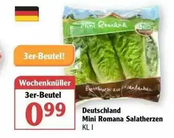 Globus Deutschland Mini Romana Salatherzen Angebot