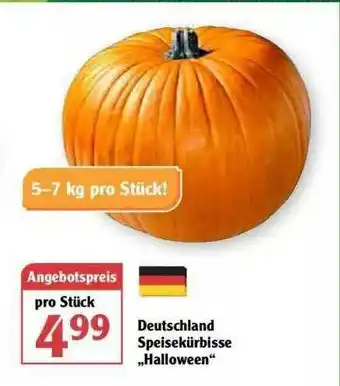 Globus Deutschland Speisekürbiste „halloween” Angebot