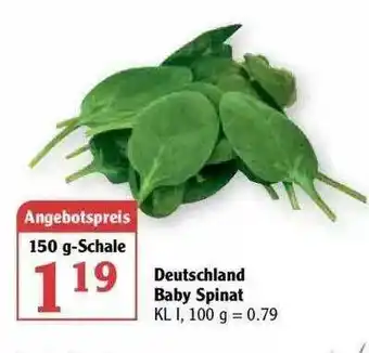 Globus Detuschland Baby Spinat Angebot