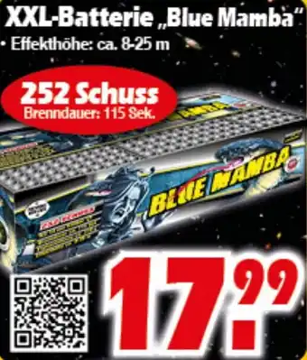 Wreesmann XXL-Batterie ,,Blue Mamba" 252 Schuss Angebot