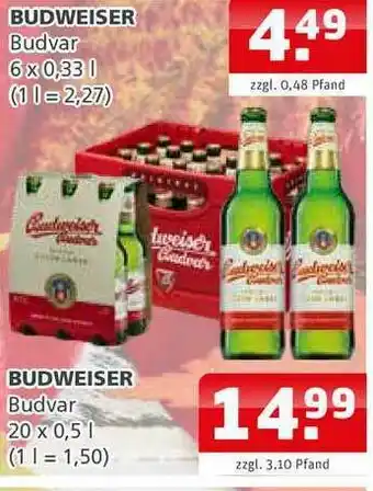 Getränkehaus Budweiser Budvar Angebot