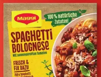 Lidl Maggi Fix 36/33/30 g Angebot