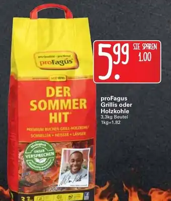 WEZ proFagus Grillis oder Holzkohle 3,3kg Beutel Angebot