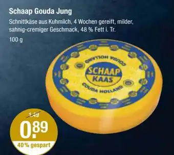 V Markt Schaap Gouda Jung 100g Angebot