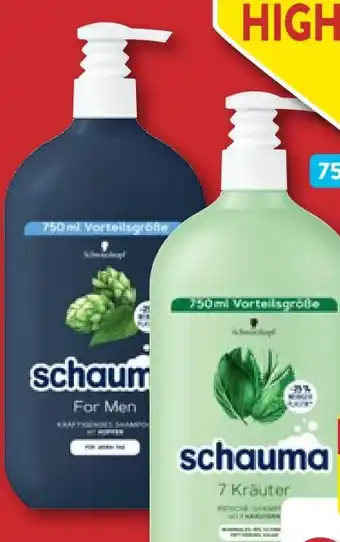 Aldi Nord Schauma shampoo Angebot