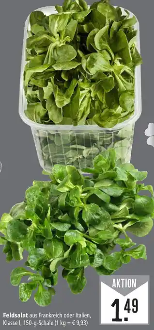 Marktkauf Feldsalat 150 g Schale Angebot