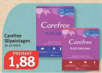 Feneberg Carefree Slipeinlagen Angebot