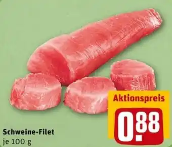 REWE PETZ Schweine Filet 100g Angebot