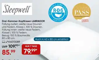 Galeria Sleepwell Drei-Kammer-Kopfkissen LABRADOR Angebot