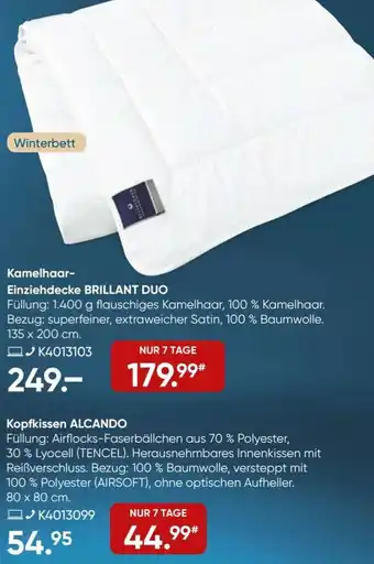 Galeria billerbeck Kamelhaar Einziehdecke BRILLANT DUO Angebot