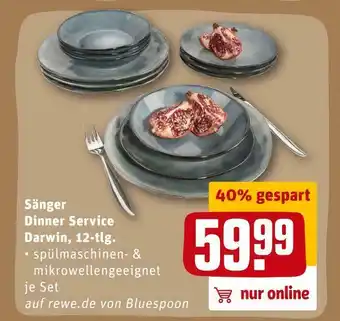 REWE Sänger dinner service darwin Angebot