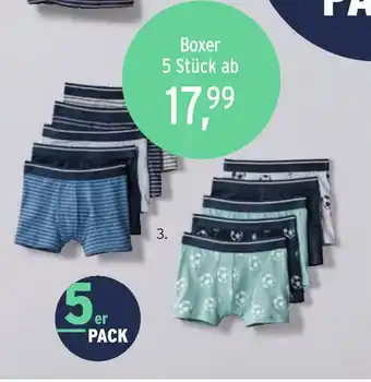 Ernstings family Boxer Angebot