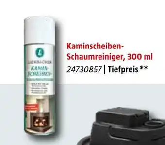 Bauhaus Lienbacher kaminscheiben-schaumreiniger Angebot