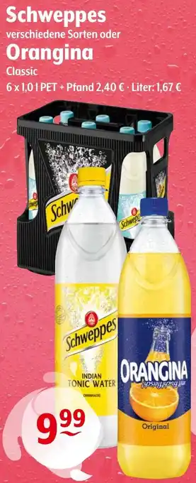 Trink und Spare Schweppes oder Orangina 6x1,0 L Angebot