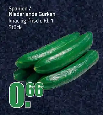 Elli Markt Spanien/Niederlande Gurken Angebot